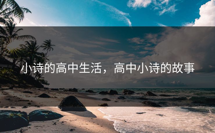 小诗的高中生活，高中小诗的故事