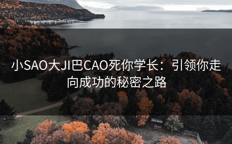 小SAO大JI巴CAO死你学长：引领你走向成功的秘密之路