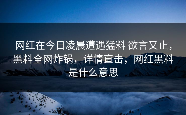 网红在今日凌晨遭遇猛料 欲言又止，黑料全网炸锅，详情直击，网红黑料是什么意思