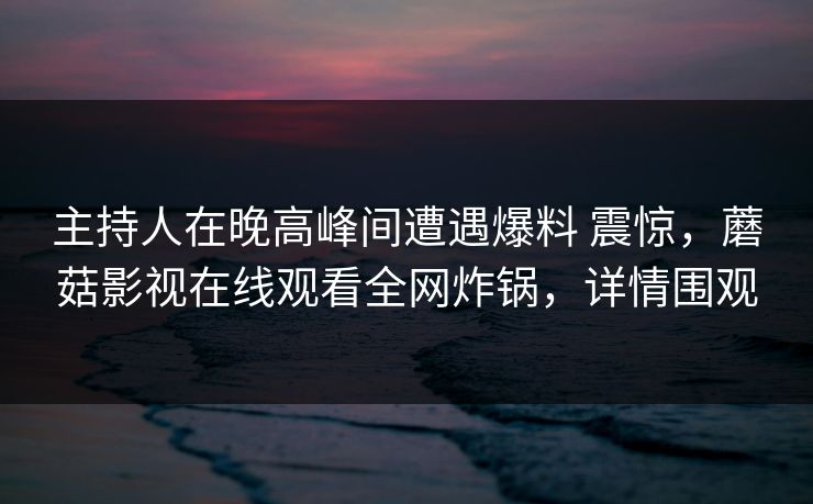 主持人在晚高峰间遭遇爆料 震惊，蘑菇影视在线观看全网炸锅，详情围观