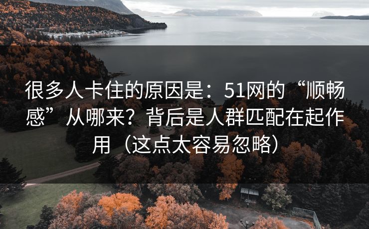 很多人卡住的原因是：51网的“顺畅感”从哪来？背后是人群匹配在起作用（这点太容易忽略）