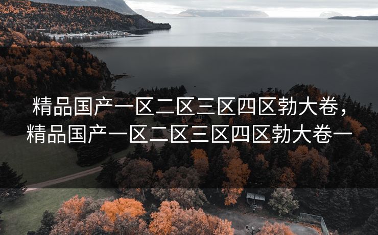 精品国产一区二区三区四区勃大卷,精品国产一区二区三区四区勃大卷一