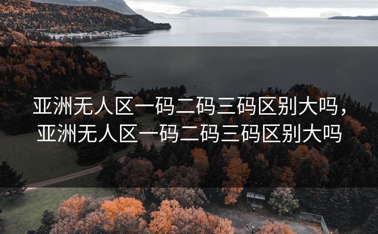 亚洲无人区一码二码三码区别大吗，亚洲无人区一码二码三码区别大吗